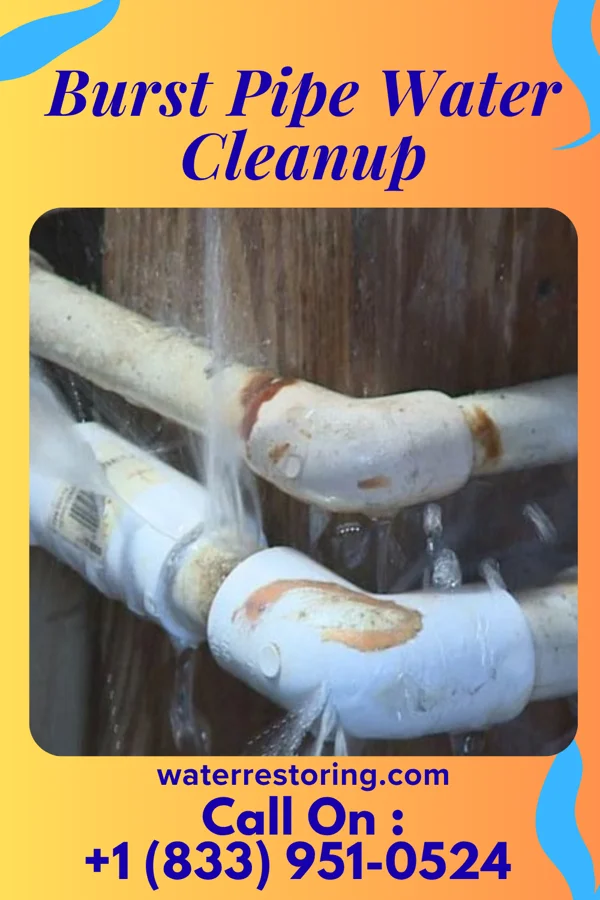 Burst Pipe Water Cleanup in Farmersville, TX