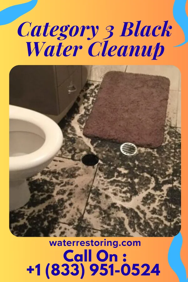 Category 3 Black Water Cleanup in Farmersville, TX